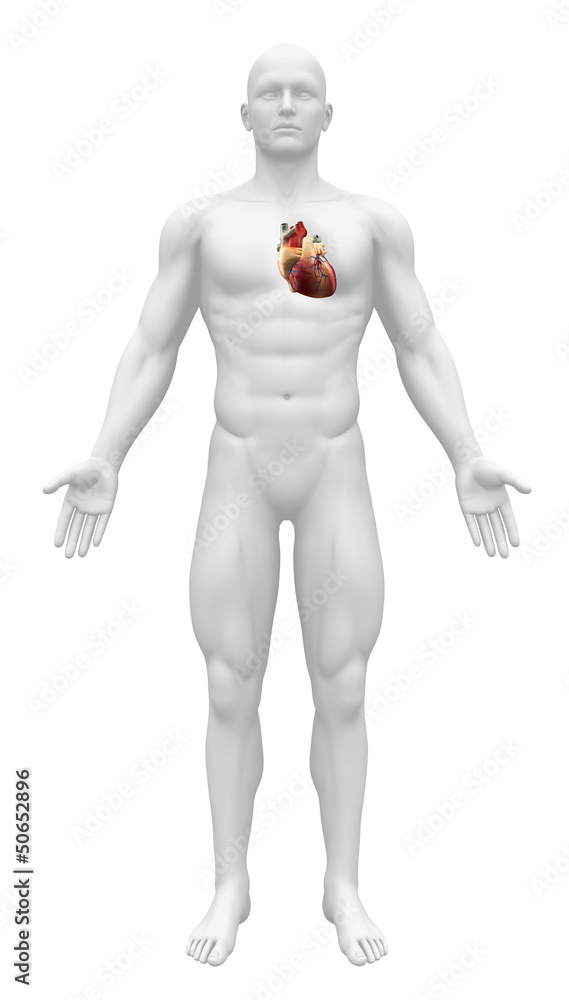 Man figure with heart