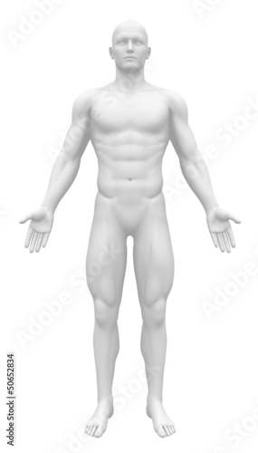 Blank Anatomy Figure - Front view