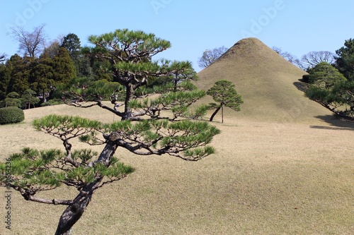 水前寺公園　富士の築山と松 photo