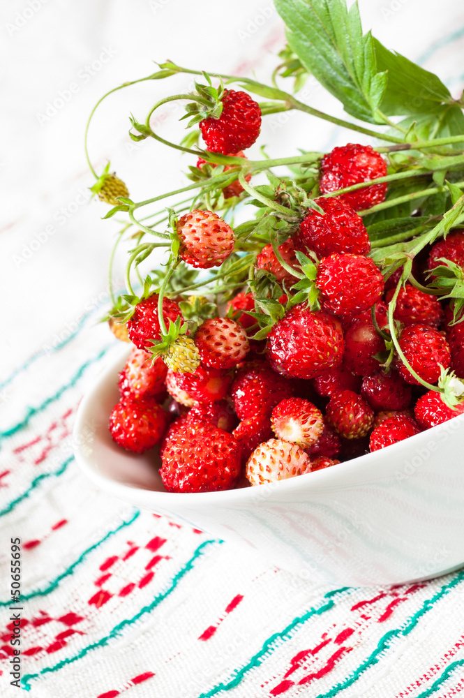 Wild strawberries Wild strawberries