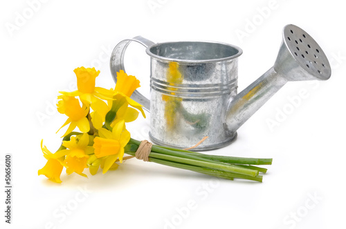 bouquet de narcisses