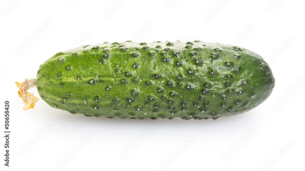 fresh greenhouse cucumber fresh greenhouse cucumber