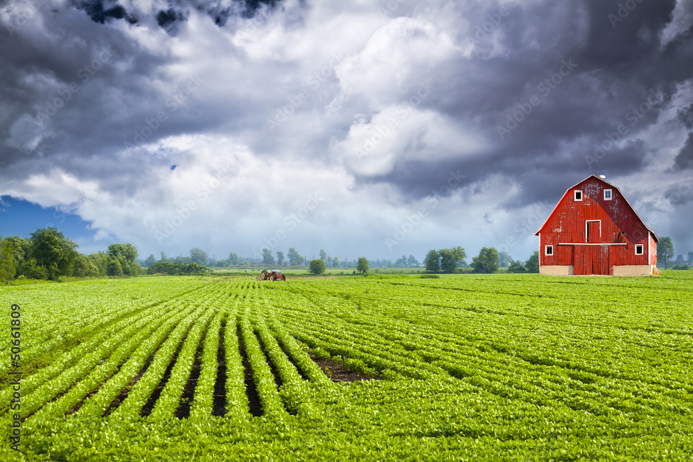 Naklejka premium American Countryside