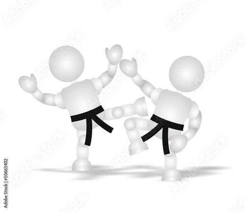 karate - master - fight