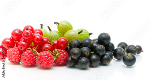 red and black currants and gooseberries on a white background.