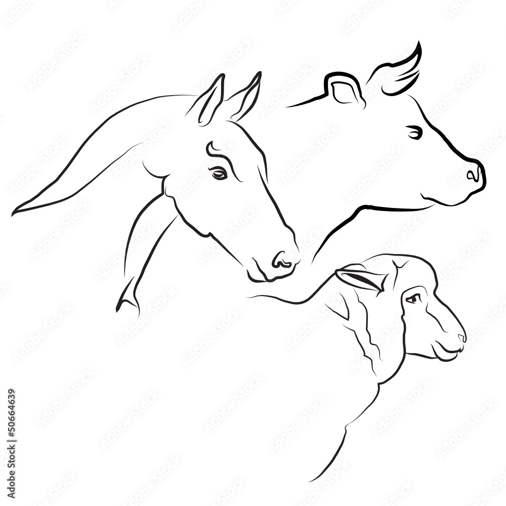 viande de cheval, boeuf et mouton viande de cheval, boeuf et mouton