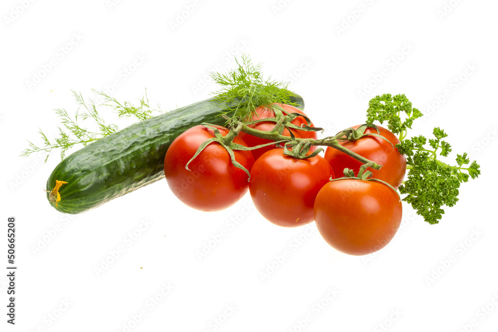 Red ripe tomatoes on the branch Red ripe tomatoes on the branch
