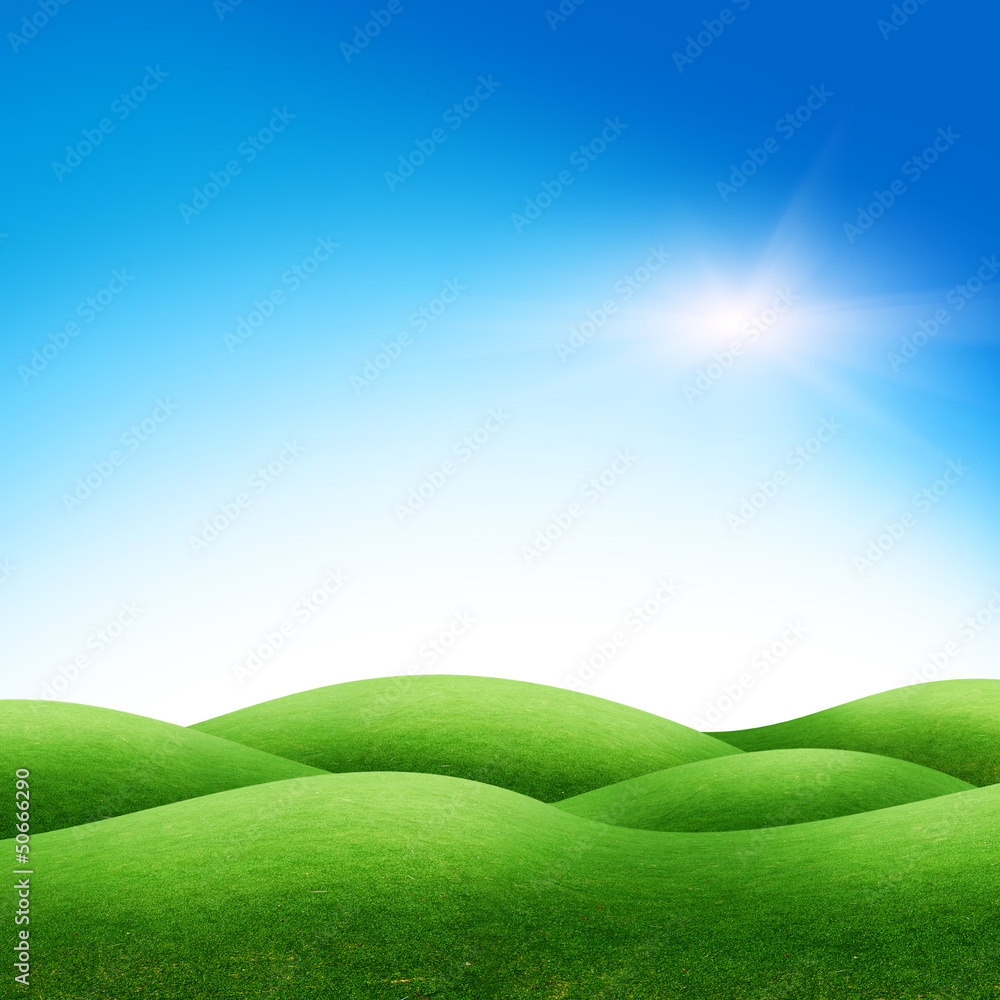 Obraz premium tree on the green field