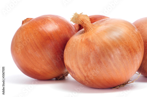 Wallpaper Mural onions Torontodigital.ca