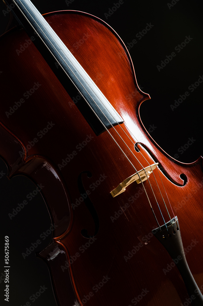 Fototapeta premium Violin in dark room - music concept