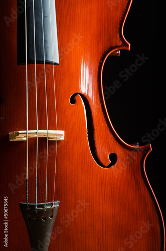 Violin in dark room - music concept