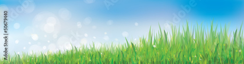 Vector of blue sky background with grass.