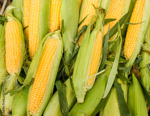 Fresh organic corn