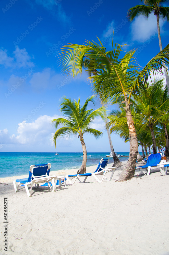 Naklejka premium Beach chairs under palm