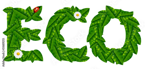Natural Ecology Concept with Leaves
