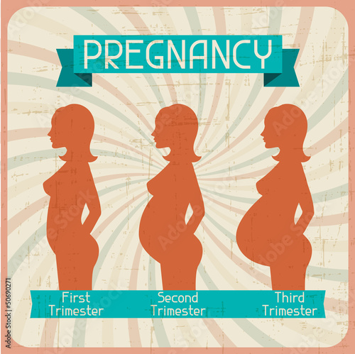 Silhouette of a pregnant woman in the three trimesters.