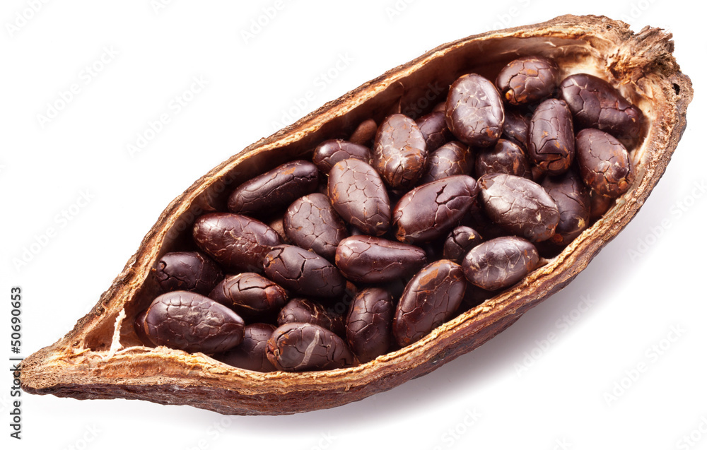 Cocoa pod Cocoa pod