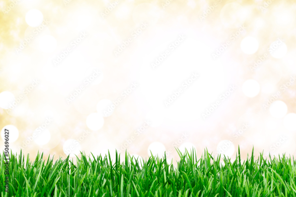 Obraz premium Hintergrund Wiese