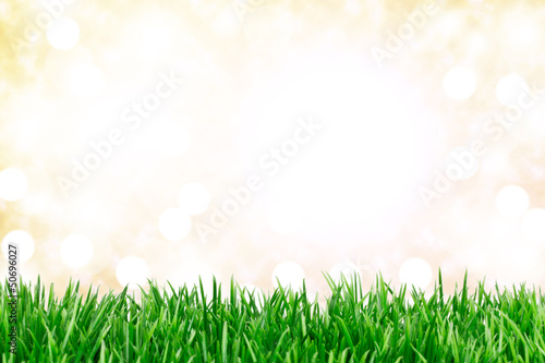 Hintergrund Wiese