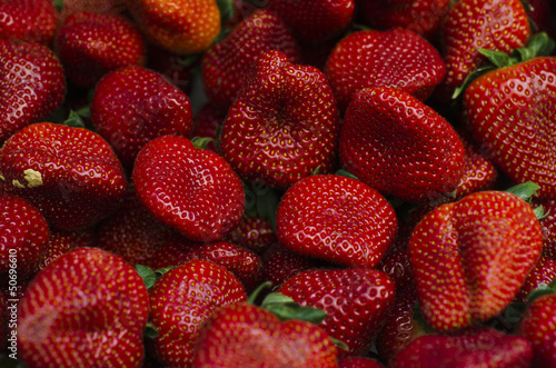 Strawberry - full frame
