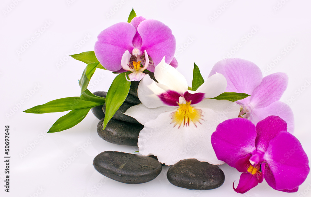 Wellness: Black stones, colourful orchids and bamboo