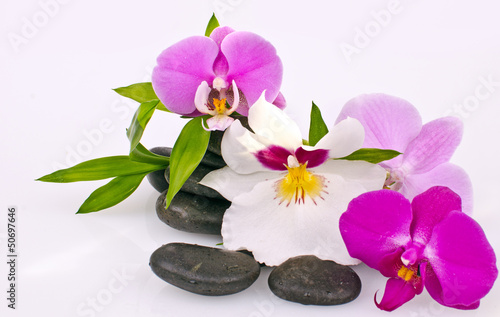 Fototapeta Naklejka Na Ścianę i Meble -  Wellness: Black stones, colourful orchids and bamboo