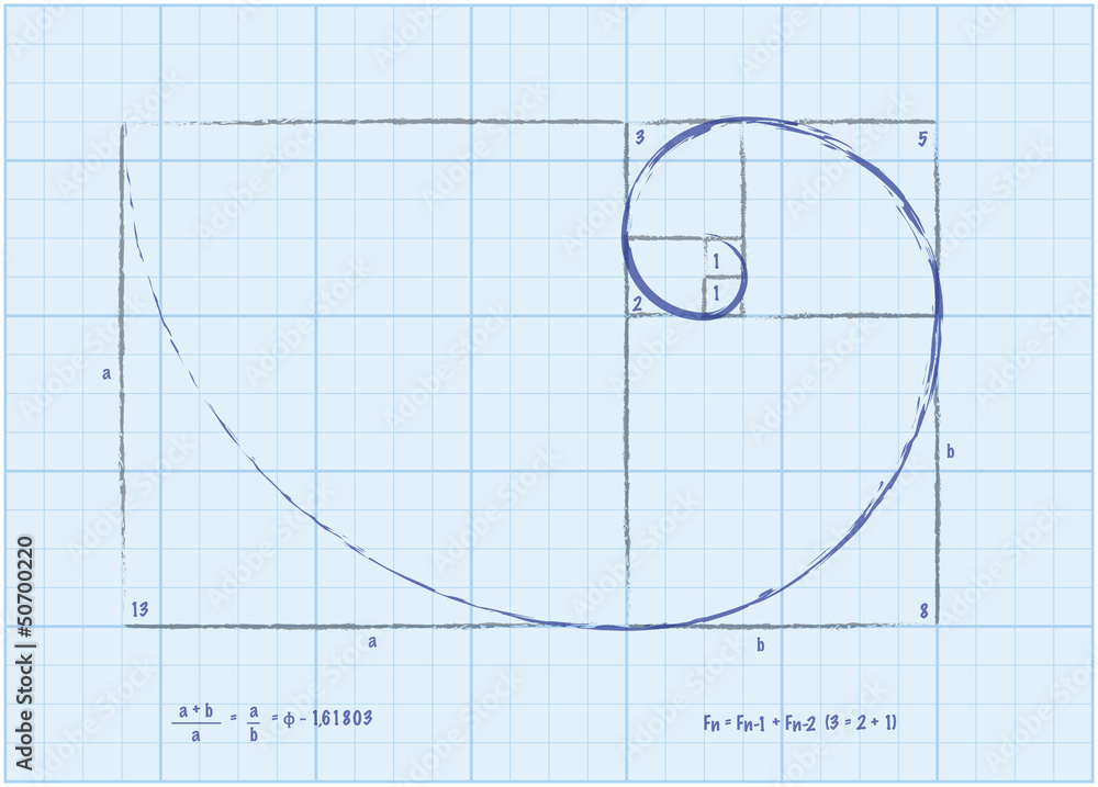 Fototapeta premium Fibonacci Sequence - Golden Spiral Sketch