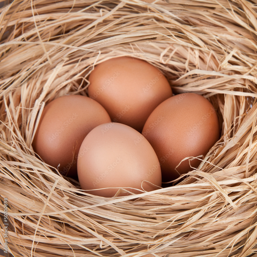 Macro shoot of brown eggs at hay nest in chicken farm Macro shoot of brown eggs at hay nest in chicken farm