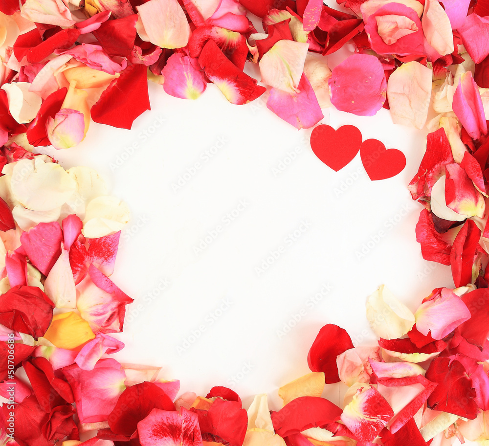 frame of beautiful petals of roses