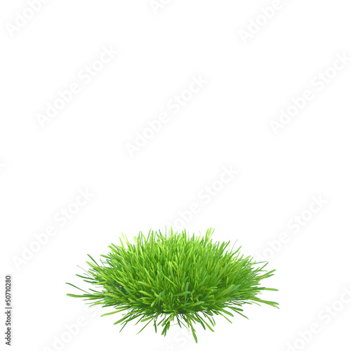 a piece of land with grass