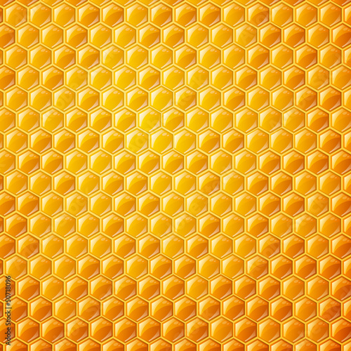 Vector Background with Honeycombs