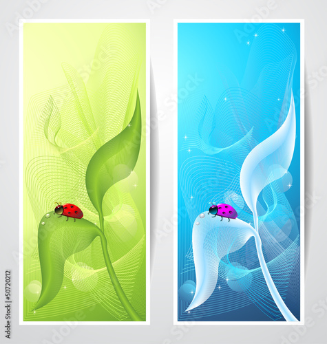 Creative banners with ladybird on leaf