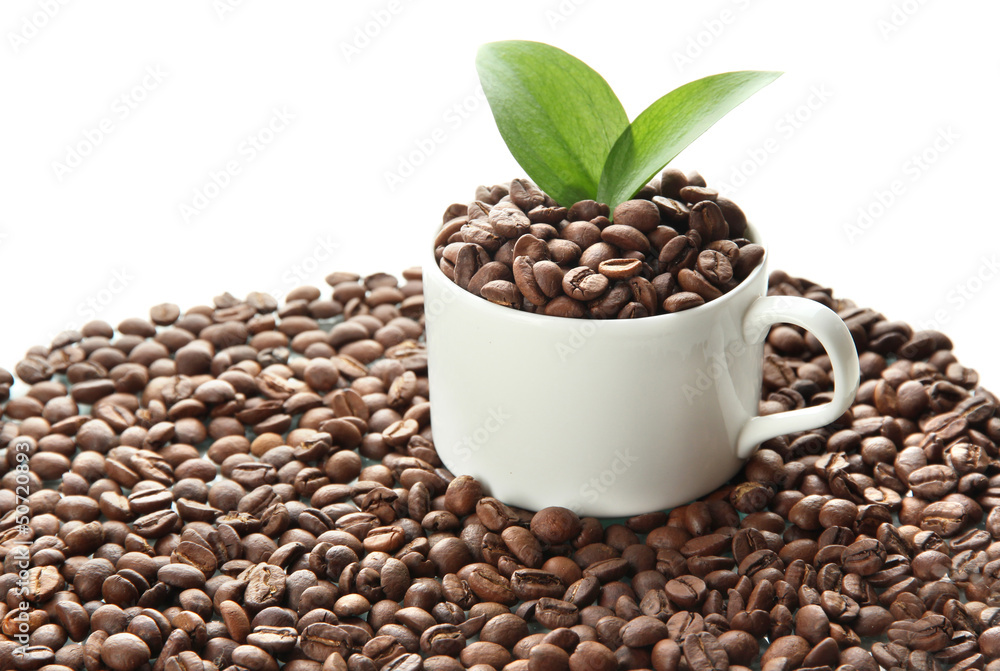Coffee beans with leaves isolated on white Coffee beans with leaves isolated on white