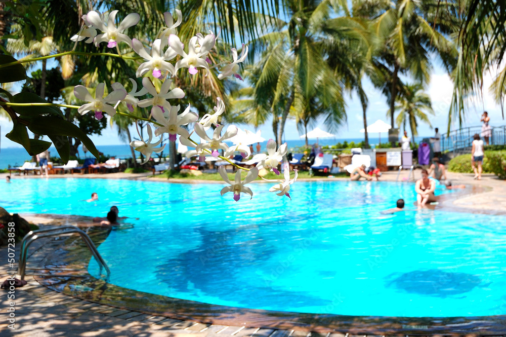 The luxury hotel with swimming pool and orchid's flowers (in foc