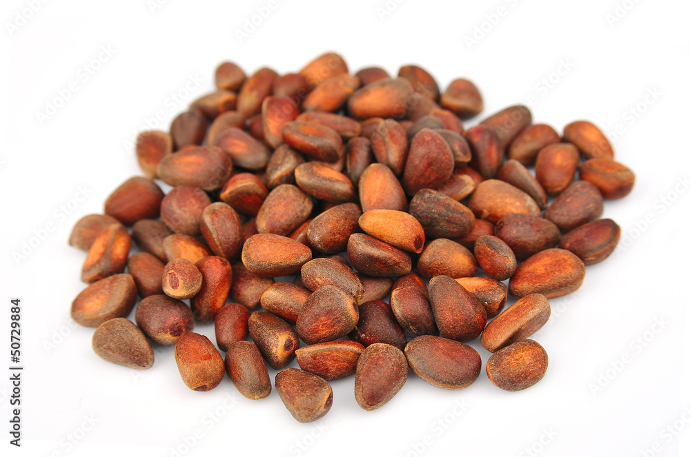 pine nuts pine nuts