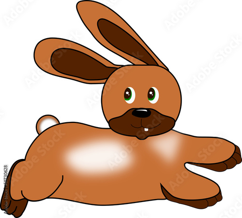 Bunny