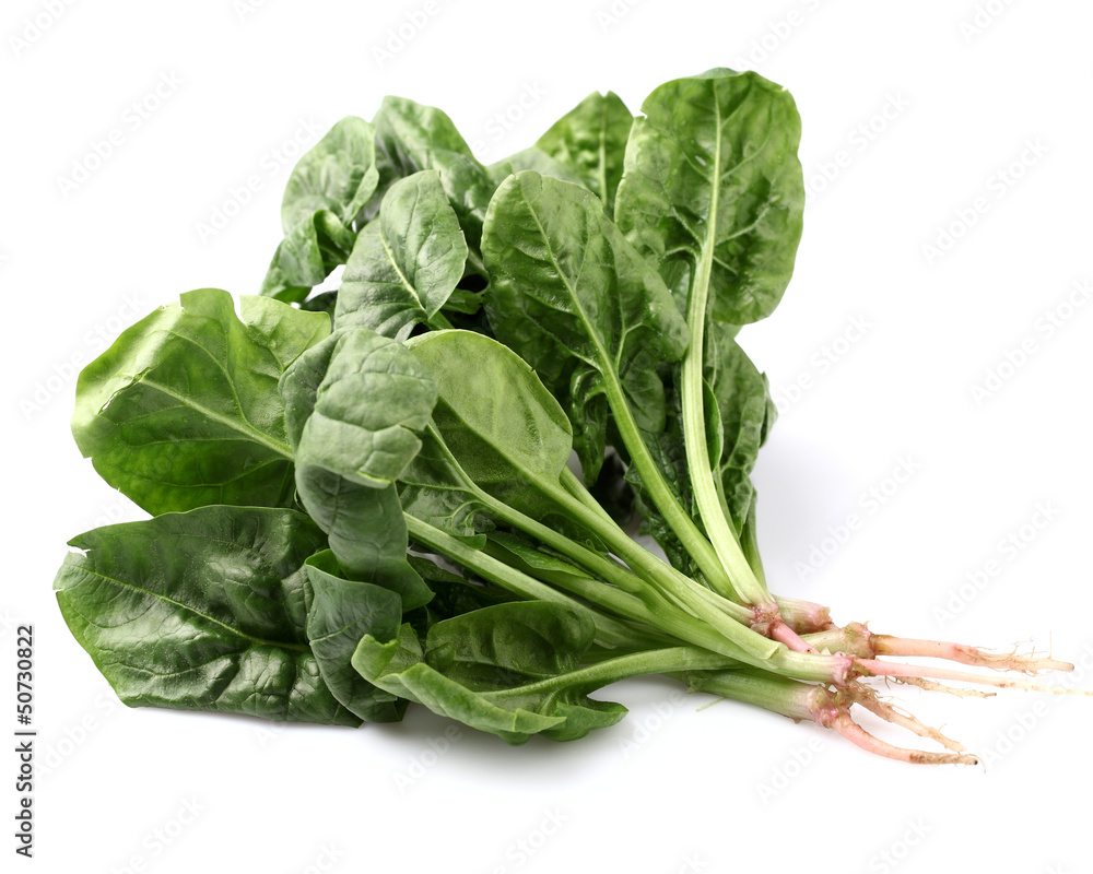 Spinach on a white background Spinach on a white background