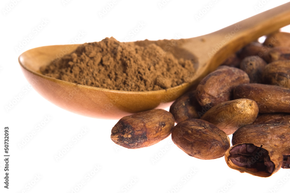 Cacao beans isolated on white background Cacao beans isolated on white background