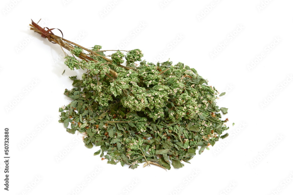 Foglie e fiori di origano - Leaves and flowers of Oregano