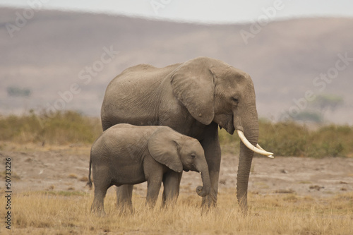 Elephant and its Calf in the Savannah © Fabio Lotti