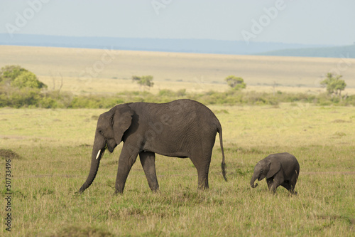 Elephant and its Calf in the Savannah