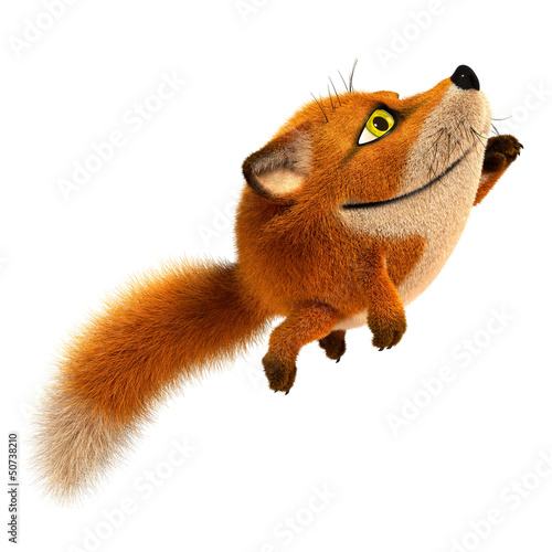 Flying fox photo