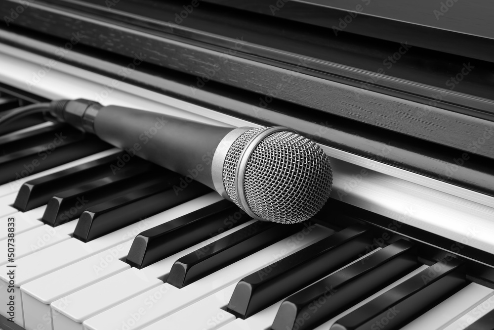 Electronic keyboard and microphone Electronic keyboard and microphone