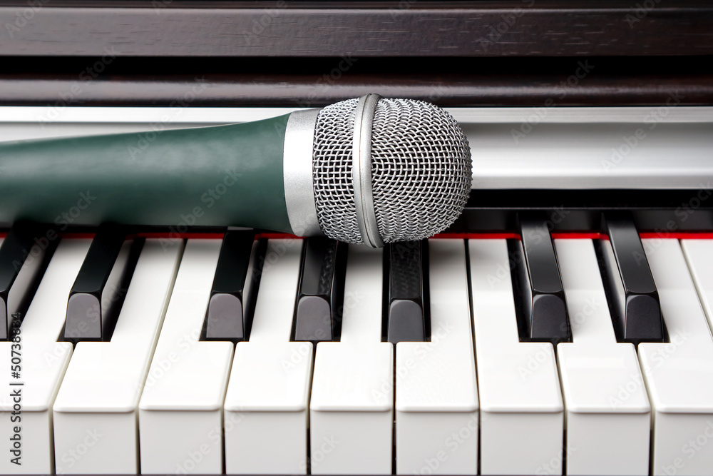 Electronic keyboard and microphone Electronic keyboard and microphone