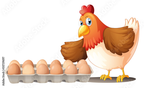 A dozen of eggs in a tray and the hen