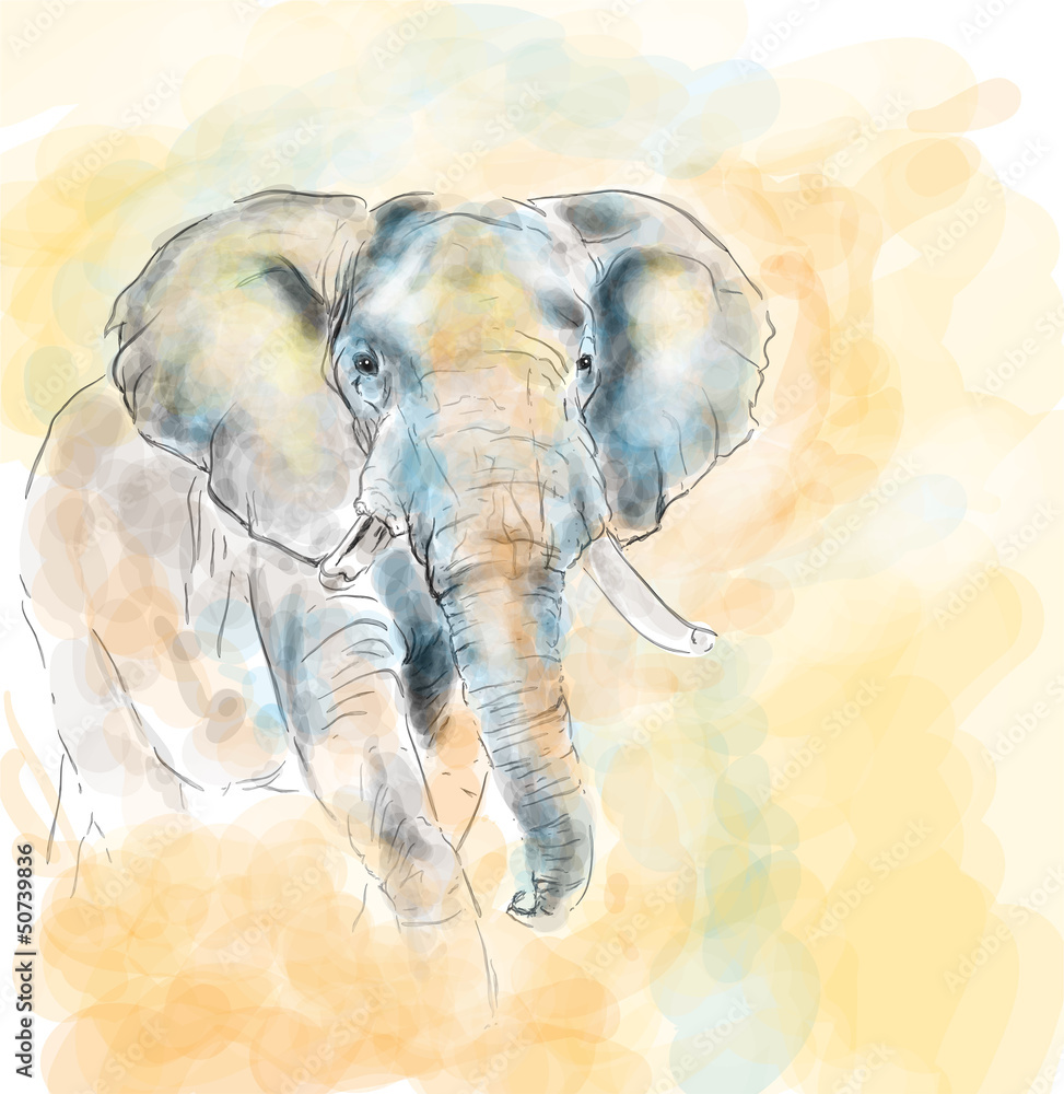 Fototapeta premium Elephant aquarelle painting imitation
