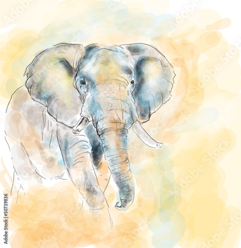 Obraz na płótnie Imitacja malowania aquarelle słonia
