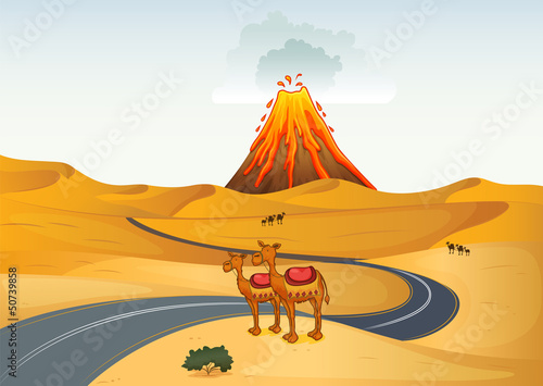 Camels in front of a volcano at the desert