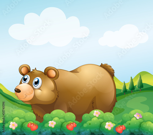 A brown bear in the strawberry garden