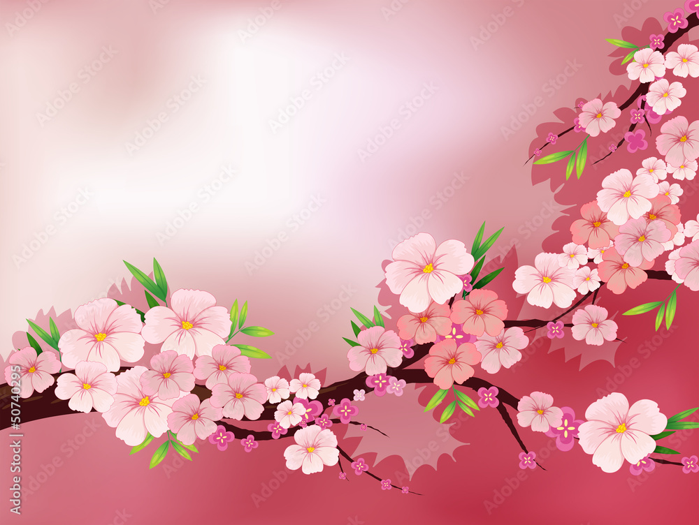 A stationery with fresh pink flowers